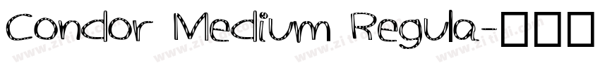 Condor Medium Regula字体转换